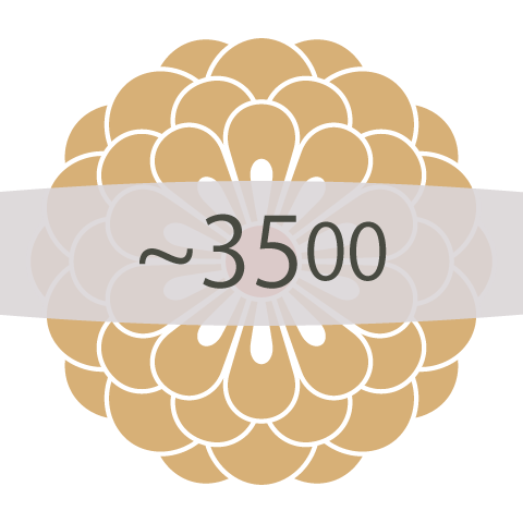 ~3500円