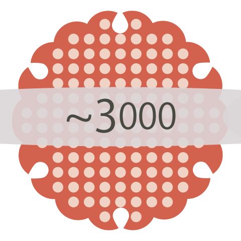 ~3000円